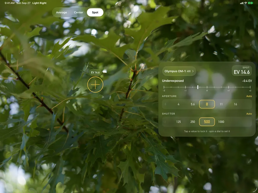 Light Right on iPad in landscape, in Spot mode on an oak branch, reading EV 14.6 with the dials on f/8 and 1/500.